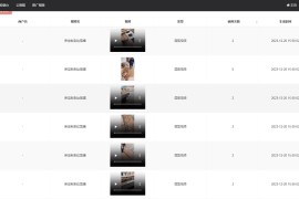 短视频矩阵系统，市面上没有的版本！新媒体运营者的利器！