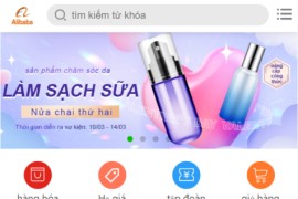 全新二开优化版越南奢侈品商城系统