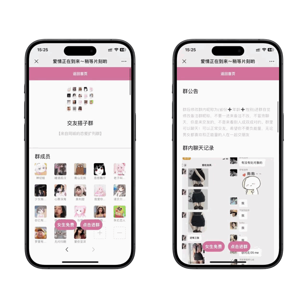 全新二开盲盒交友付费进群二合一系统插图2