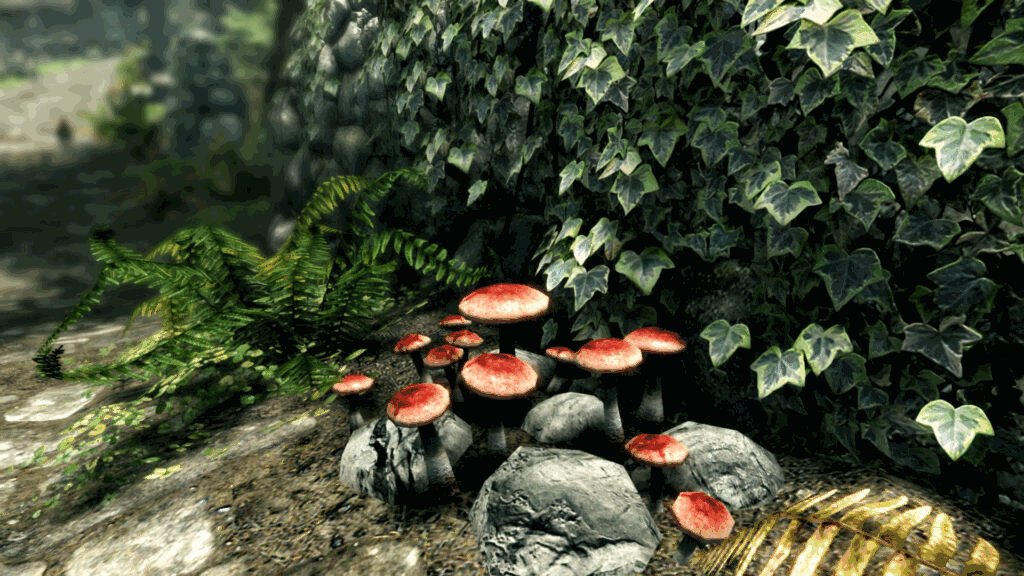 《上古卷轴5：周年纪念版/上古卷轴5：天际10周年重制版/The Elder Scrolls V: Skyrim Special Edition》V1.6.1179.0.8|官方繁体中文|支持键鼠.手柄|容量30GB插图3