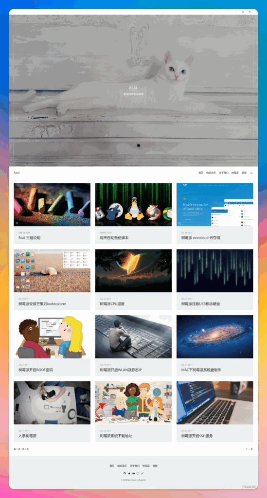 Real 大图相册模板-各种盘口搭建,软件开发,维护,定制