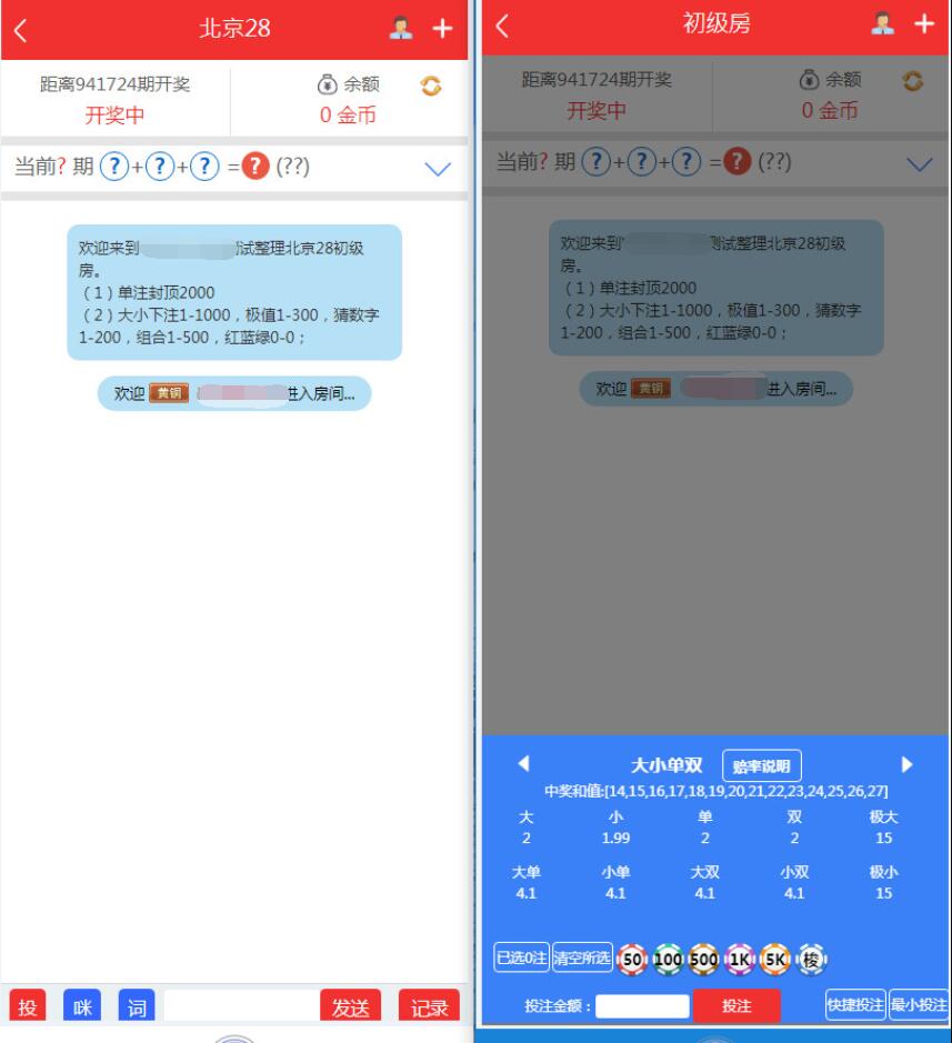 NET开发的幸运28程序源码下载,无需授权带搭建视频教程插图3