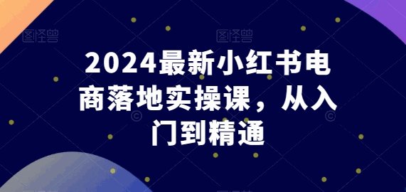 2024最新小红书电商落地实操课，从入门到精通-各种盘口搭建,软件开发,维护,定制
