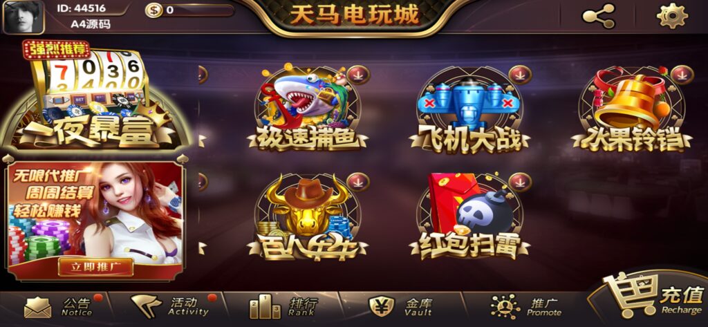 【组件+授权工具】最新一夜暴富天马电玩城完美服务器打包版本+完整数据+游戏众多插图5