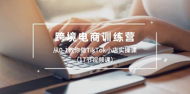 跨境电商训练营：从0-1教你做TikTok小店实操课（17节视频课）-各种盘口搭建,软件开发,维护,定制