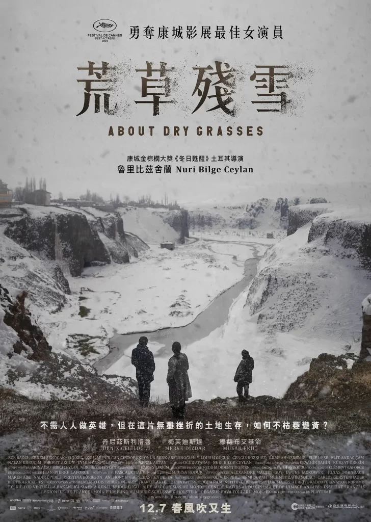 枯草 Kuru Otlar Üstüne [2023] 第76届戛纳电影节 最佳女演员-各种盘口搭建,软件开发,维护,定制