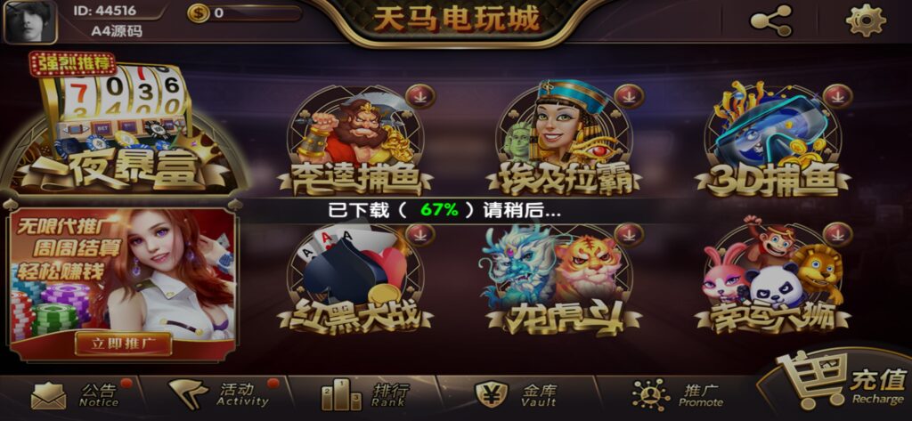 【组件+授权工具】最新一夜暴富天马电玩城完美服务器打包版本+完整数据+游戏众多插图1