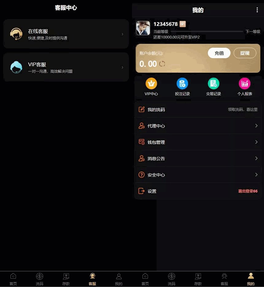 二次开发包网系统第三方api接口运营版插图2