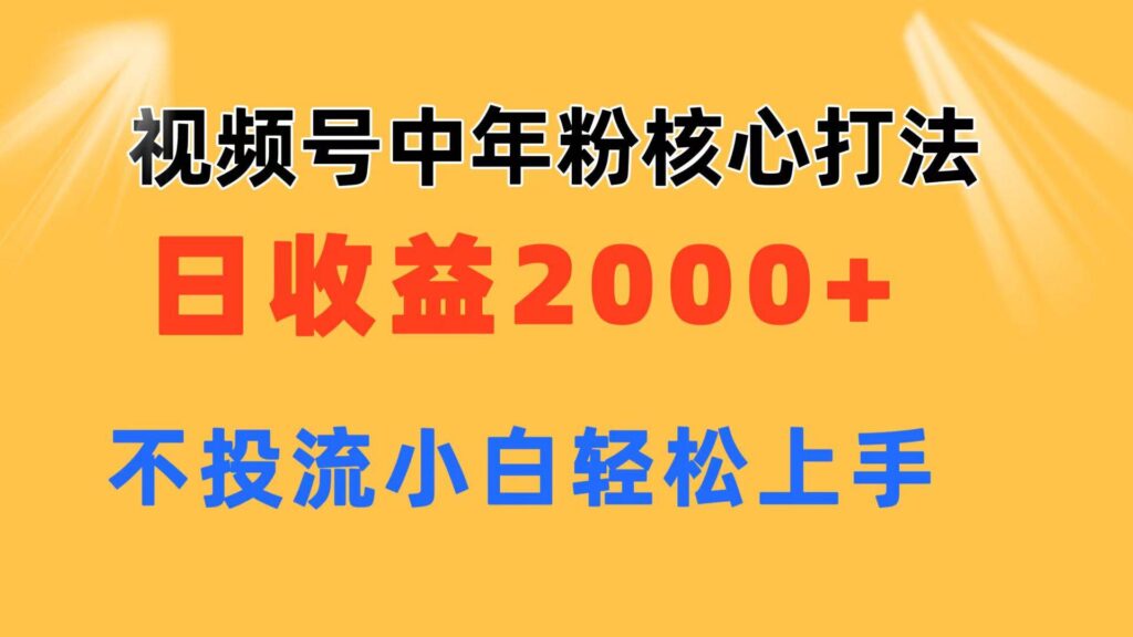 视频号中年粉核心玩法 日收益2000+ 不投流小白轻松上手-各种盘口搭建,软件开发,维护,定制