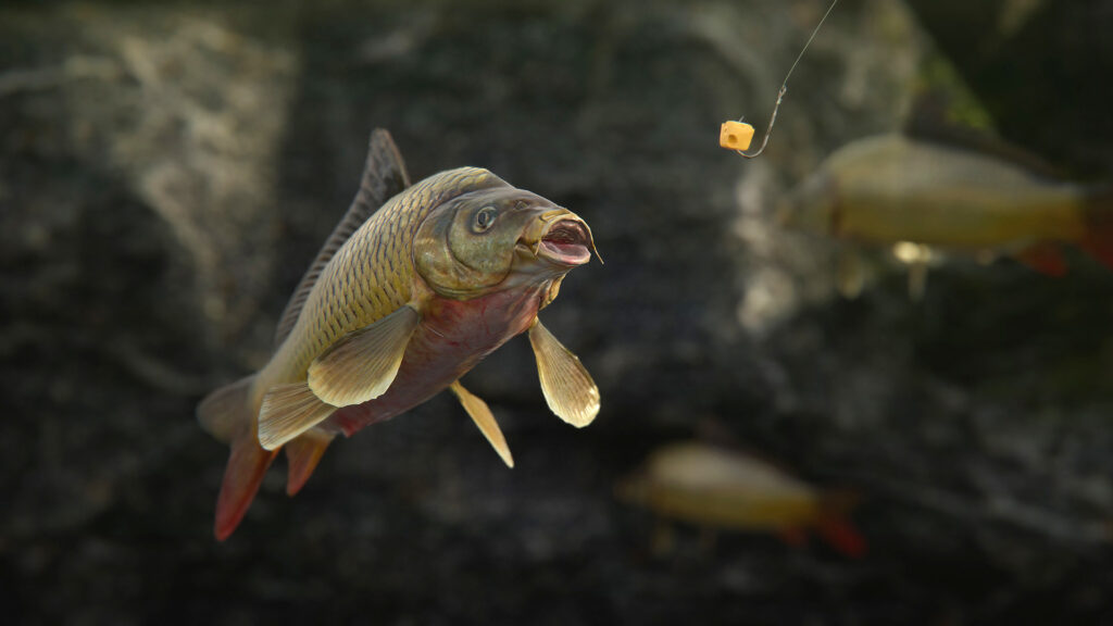 《SCUM/人渣》V0.9.536/官方简体中文/多项修G器/容量68.29GB-各种盘口搭建,软件开发,维护,定制