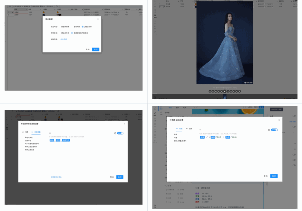 卷王问卷考试系统SurveyKing，开源调查问卷和考试系统源码插图2