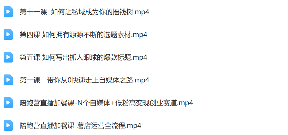 个人IP+电商自媒体全陪跑营插图3