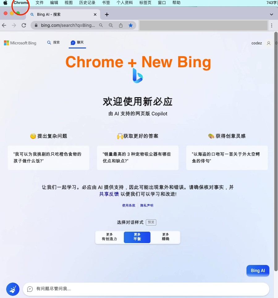 微软New Bing完美聊天机器人源码，支持ChatGPT提示词 国内可用，基本兼容微软 Bing AI 所有功能-各种盘口搭建,软件开发,维护,定制
