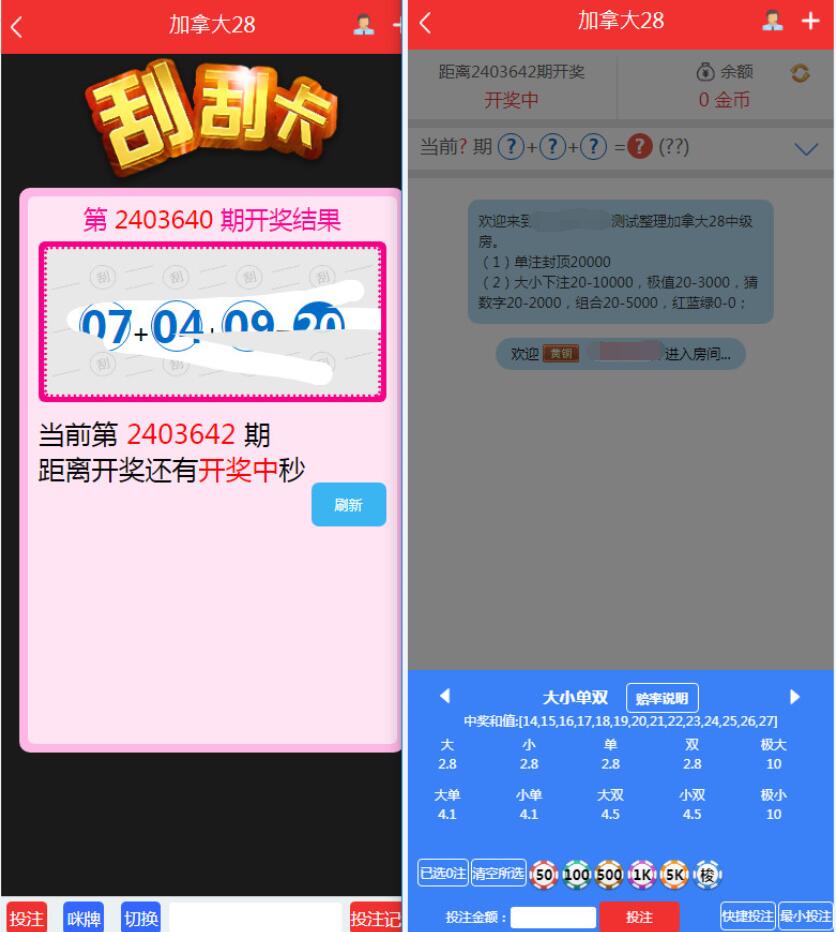 NET开发的幸运28程序源码下载,无需授权带搭建视频教程插图4