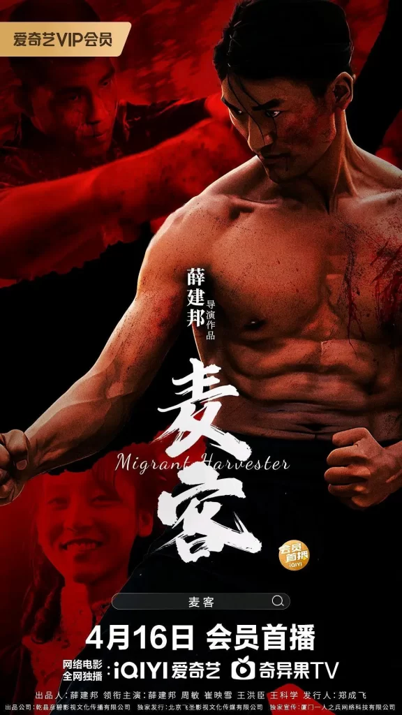 麦客 (2024) 喜剧 动作电影-各种盘口搭建,软件开发,维护,定制