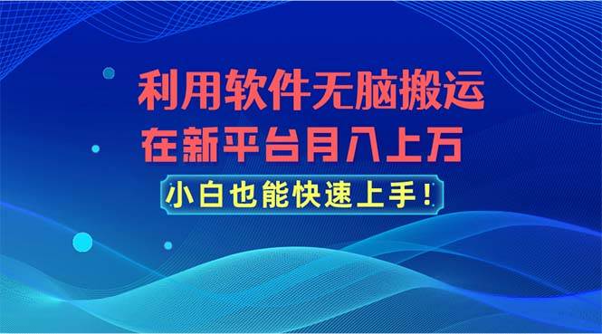 利用软件无脑搬运，在新平台月入上万，小白也能快速上手-各种盘口搭建,软件开发,维护,定制