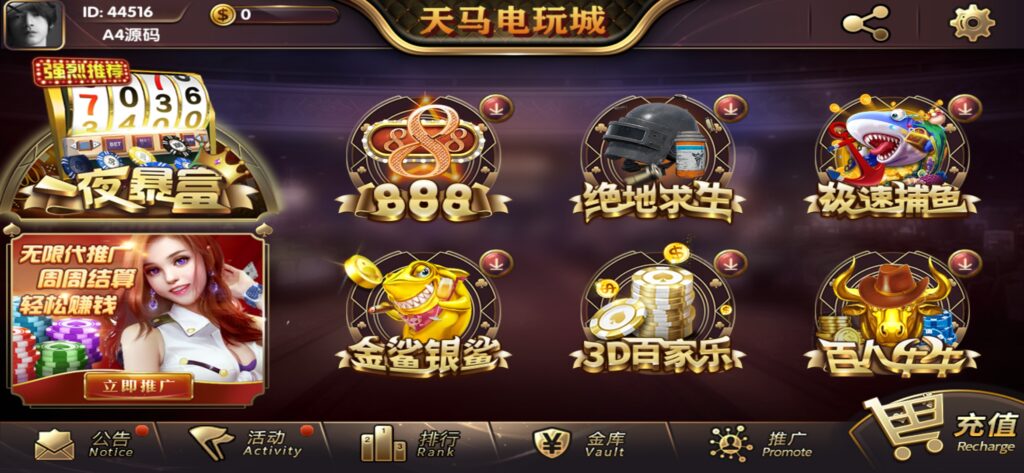 【组件+授权工具】最新一夜暴富天马电玩城完美服务器打包版本+完整数据+游戏众多插图3