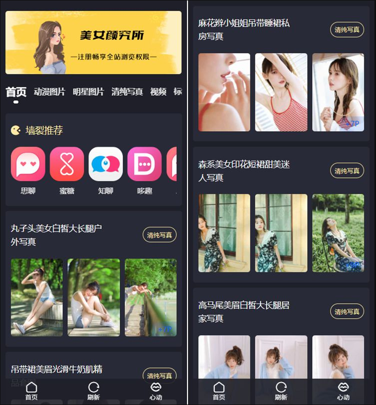 最新抖你妹原版主题源码仿抖音模式套图SEO源码_WordPress图片主题插图2