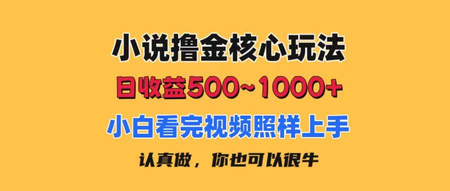 小说撸金核心玩法，日收益500-1000+，小白看完照样上手，0成本有手就行-各种盘口搭建,软件开发,维护,定制