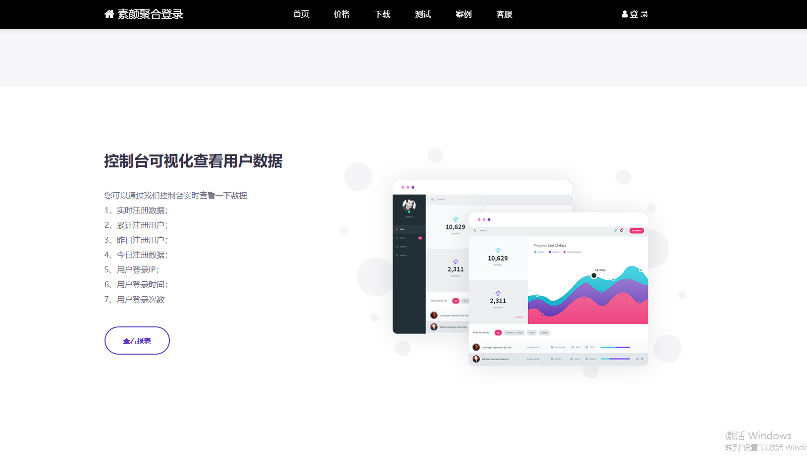 彩虹聚合登录首页简约模板-各种盘口搭建,软件开发,维护,定制