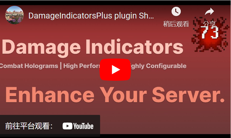 50% 折扣！⚔️ 伤害指示器加⚔️战斗全息图 ✨ PAPI 和 WG 支持 ✅ （1.16.5 – 1.20.6） 3.0.1插图3