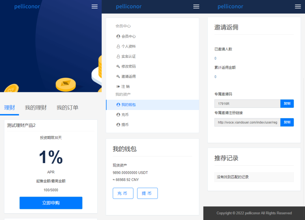 USDT理财虚拟锁仓货币投资理财定期活期出海源码_双语言区块链理财系统插图2