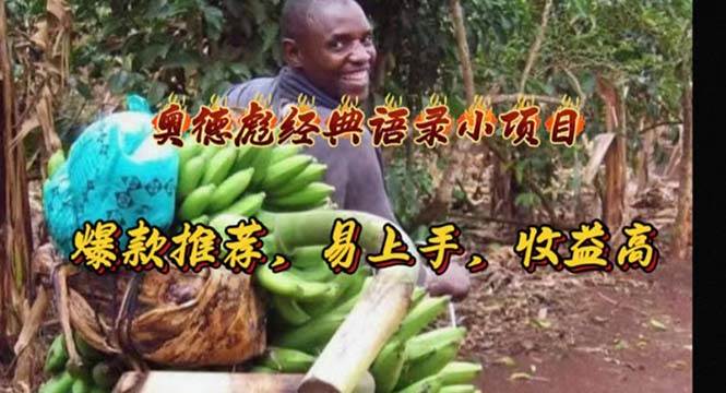 奥德彪经典语录小项目，爆款推荐，易上手，收益高-各种盘口搭建,软件开发,维护,定制