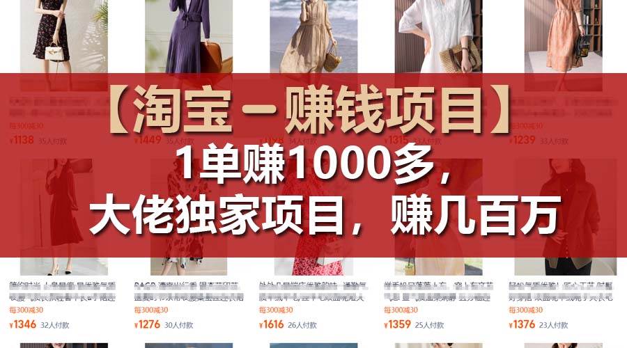 【淘宝赚钱项目】1单可赚1000多，大佬独家项目，年赚几百万-各种盘口搭建,软件开发,维护,定制