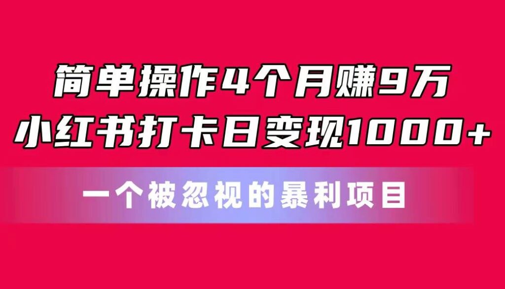 简单操作4个月赚9万！小红书打卡日变现1000+！一个被忽视的暴力项目-各种盘口搭建,软件开发,维护,定制