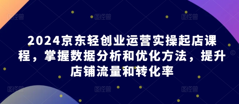 2024京东轻创业运营实操起店课程，掌握数据分析和优化方法，提升店铺流量和转化率-各种盘口搭建,软件开发,维护,定制