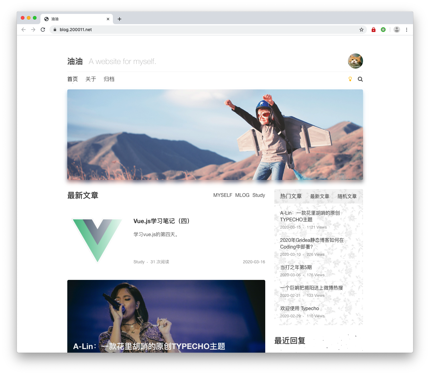 A-Lin 双栏黑白双色模板-各种盘口搭建,软件开发,维护,定制