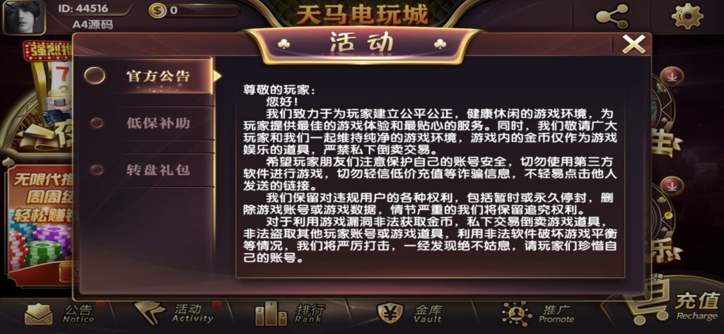 【组件+授权工具】最新一夜暴富天马电玩城完美服务器打包版本+完整数据+游戏众多插图8