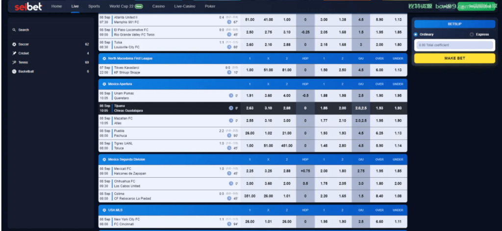 海外游戏源码 带有足球插图4