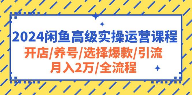 2024闲鱼高级实操运营课程：开店/养号/选择爆款/引流/月入2万/全流程-各种盘口搭建,软件开发,维护,定制