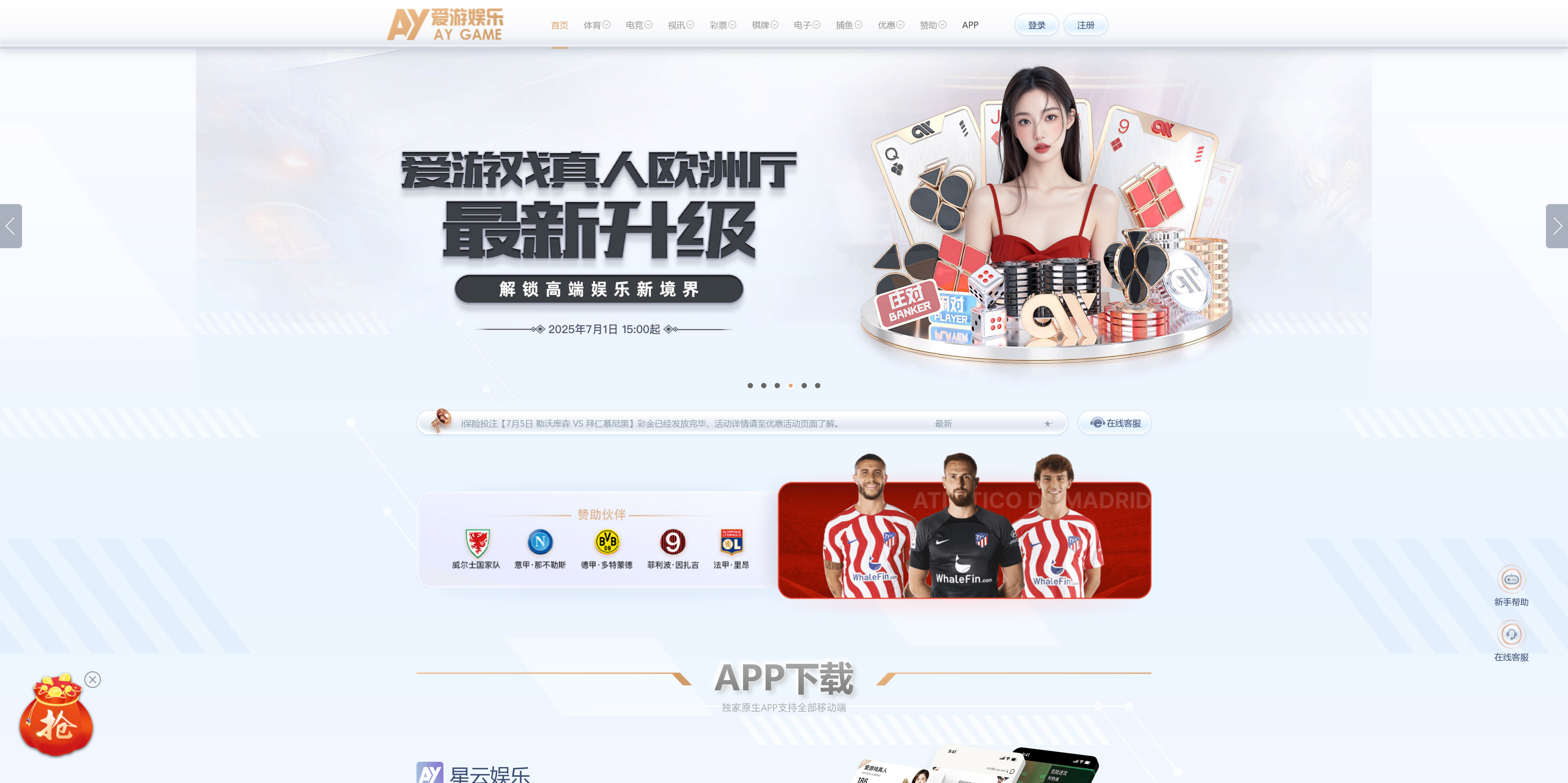 美盛系列包网模板爱游+搭建教程插图5