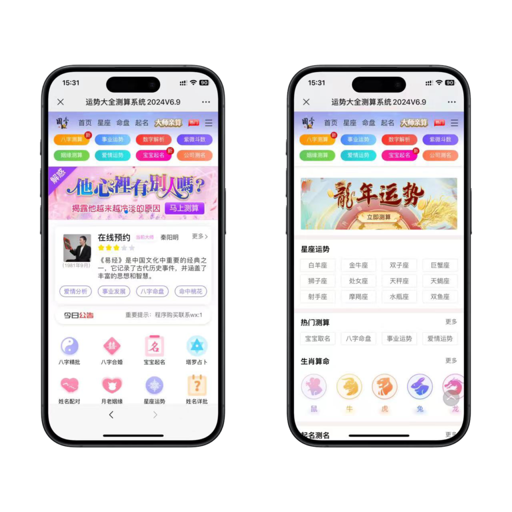 龙年新版ui测算程序源码第二版插图2