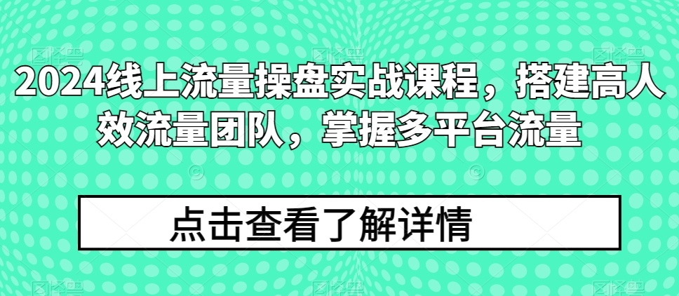 2024线上流量操盘实战课程，搭建高人效流量团队，掌握多平台流量-各种盘口搭建,软件开发,维护,定制