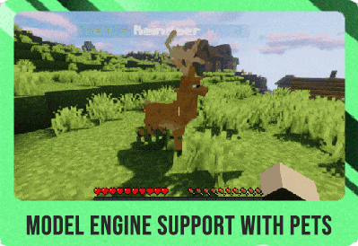 1.17 – 1.20.6 ⭕ AdvancedPets ⭐ 16+ 动画自定义宠物插件 ⭐ 原版和自定义宠物 ✅ 2.9.14插图4