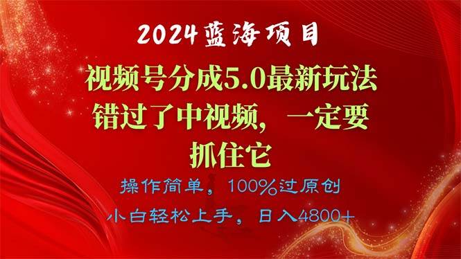 2024蓝海项目，视频号分成计划5.0最新玩法-各种盘口搭建,软件开发,维护,定制