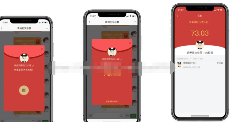 即时通讯IM系统（H5+安卓+IOS)客户端 支持红包转账 朋友圈 附视频教程插图3