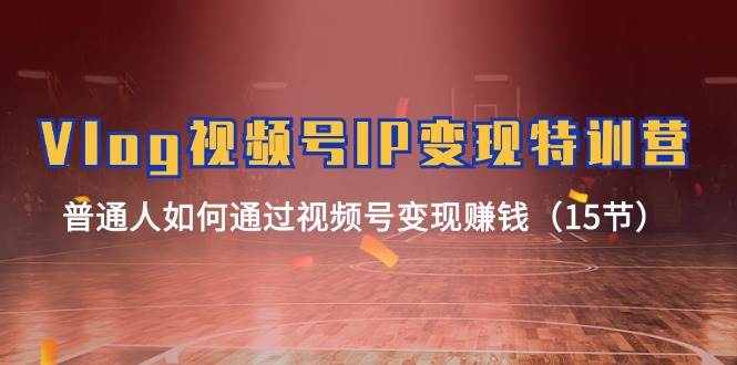 Vlog 视频号IP变现特训营，普通人如何通过视频号变现赚钱（15节）-各种盘口搭建,软件开发,维护,定制