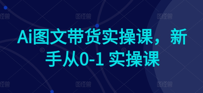 Ai图文带货实操课，新手从0-1 实操课-各种盘口搭建,软件开发,维护,定制