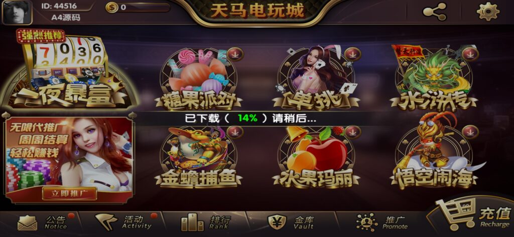 【组件+授权工具】最新一夜暴富天马电玩城完美服务器打包版本+完整数据+游戏众多插图4