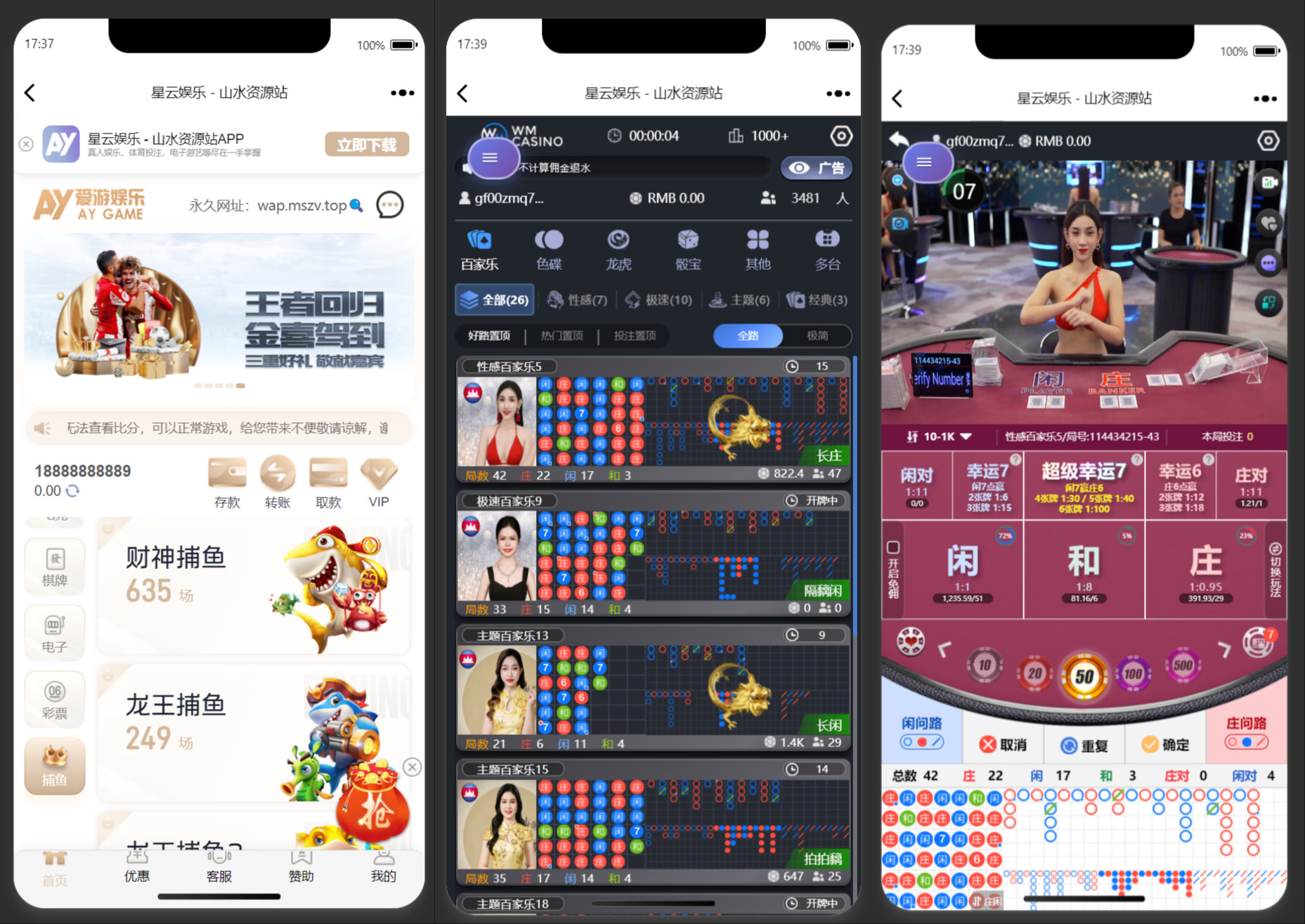 美盛系列包网模板爱游+搭建教程插图4