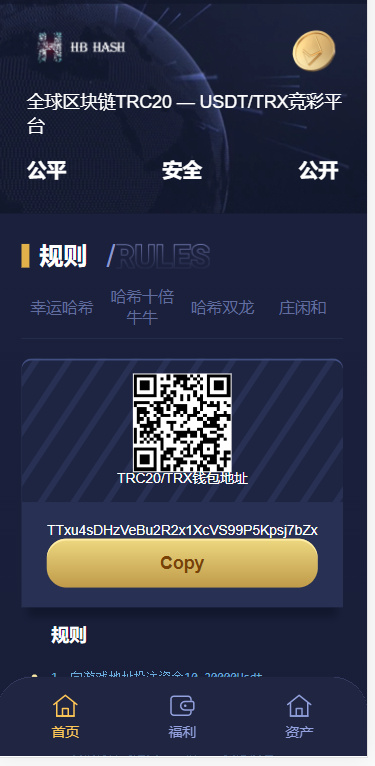 哈希竞猜源码四种玩法-各种盘口搭建,软件开发,维护,定制