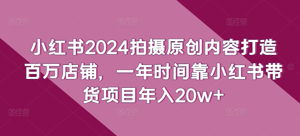 小红书2024拍摄原创内容打造百万店铺，一年时间靠小红书带货项目年入20w+-各种盘口搭建,软件开发,维护,定制
