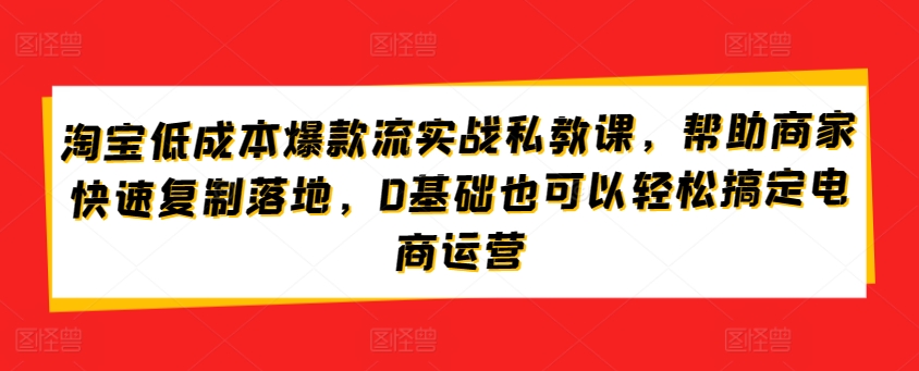 淘宝低成本爆款流实战私教课，帮助商家快速复制落地，0基础也可以轻松搞定电商运营-各种盘口搭建,软件开发,维护,定制