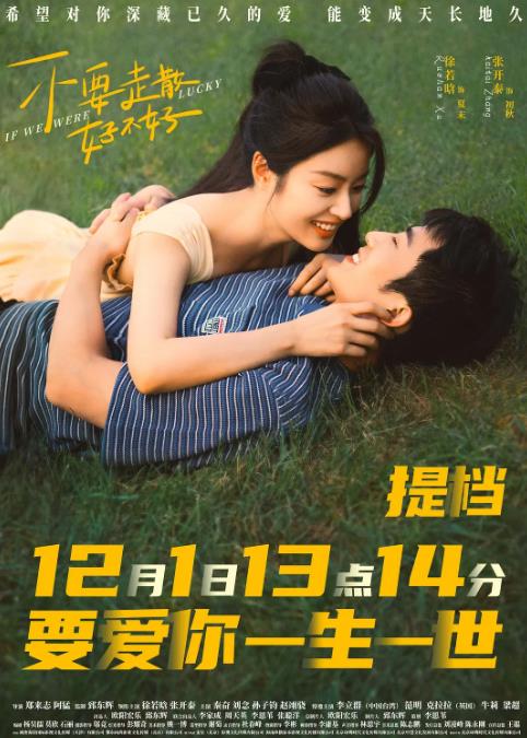 《不要走散好不好》2023 爱情 4K-各种盘口搭建,软件开发,维护,定制