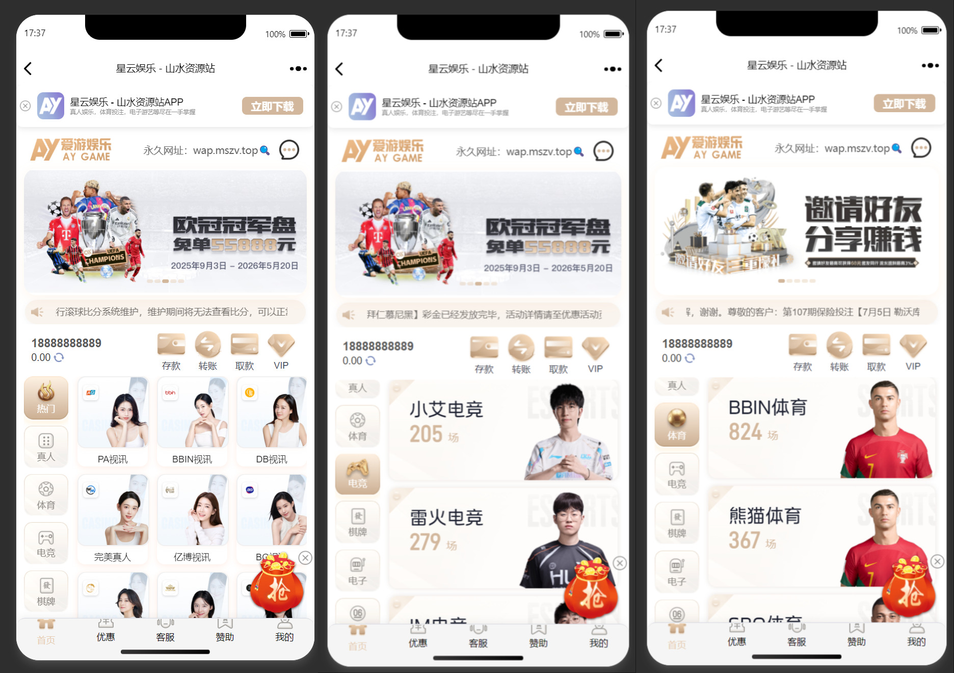 美盛系列包网模板爱游+搭建教程插图2