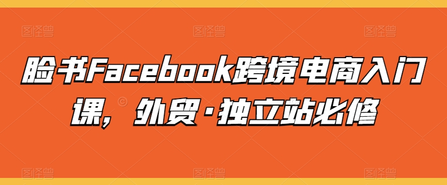 脸书Facebook跨境电商入门课，外贸·独立站必修-各种盘口搭建,软件开发,维护,定制